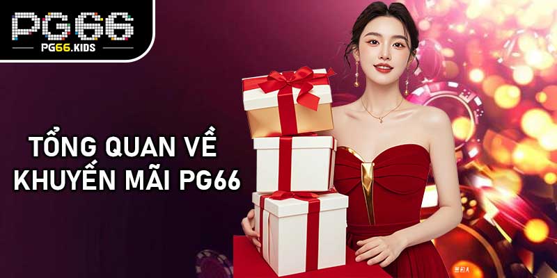 Tổng Quan Về Khuyến Mãi PG66